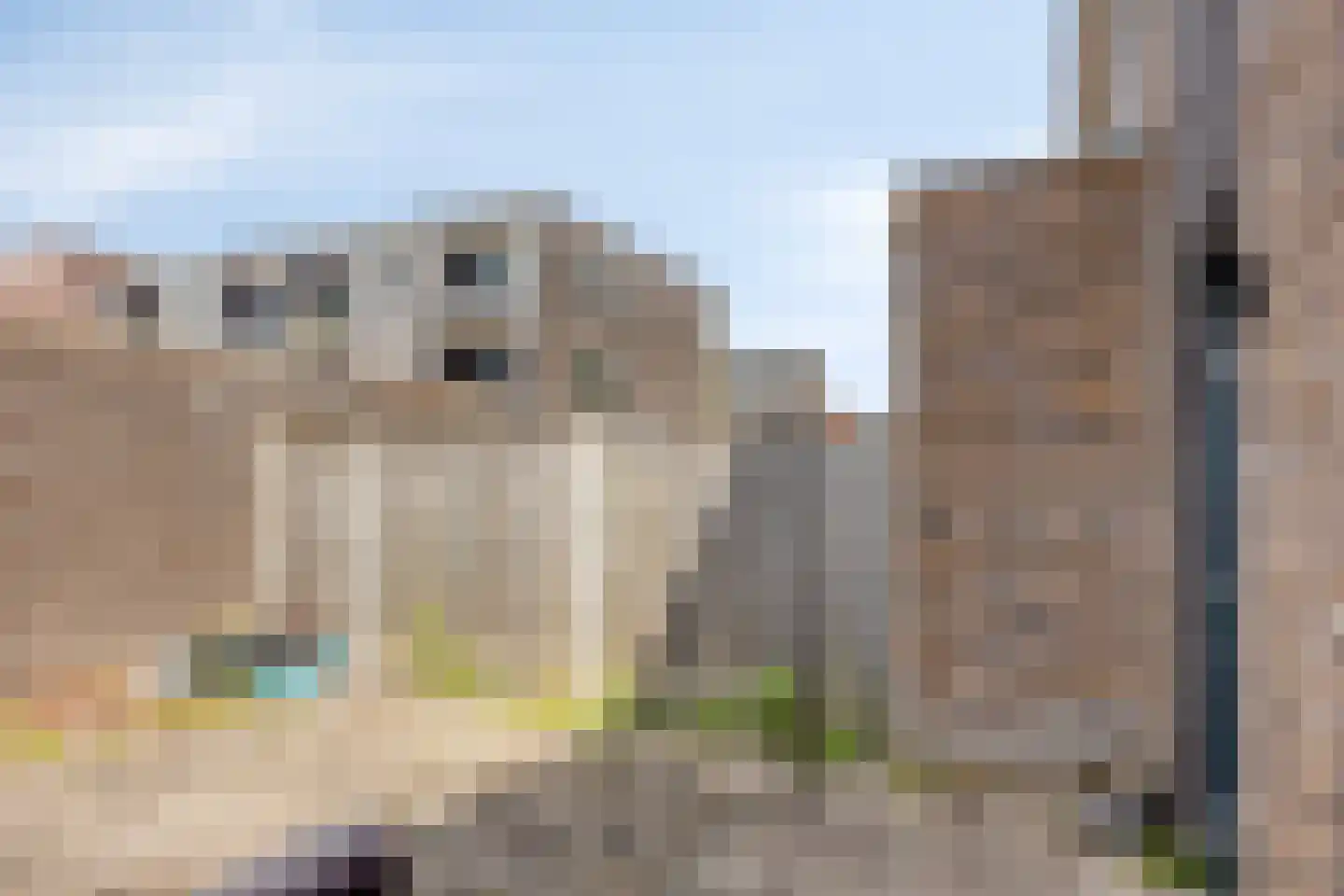 De Grutto 66 Dronten thumbnail 25