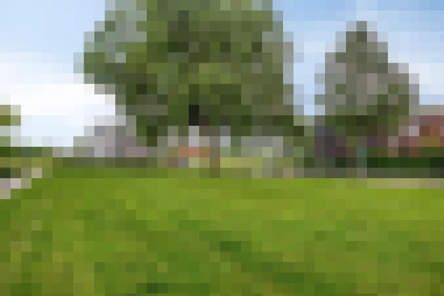 De Grutto 66 Dronten thumbnail 26