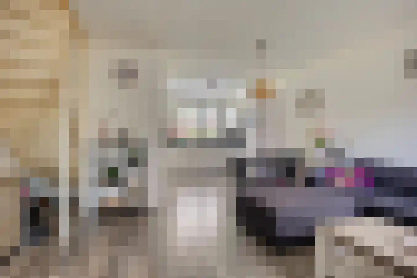 De Grutto 66 Dronten thumbnail 8