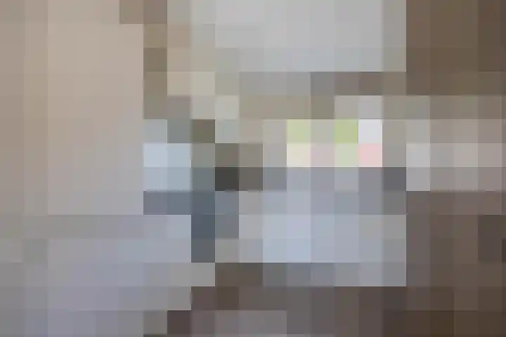 de Grutto 7 Moerkapelle thumbnail 11