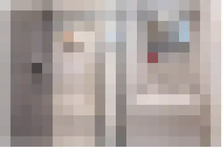 de Grutto 7 Moerkapelle thumbnail 18