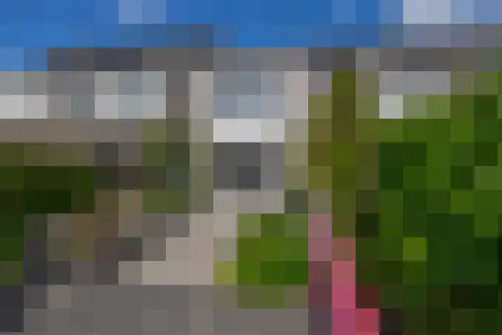 de Grutto 7 Moerkapelle thumbnail 22