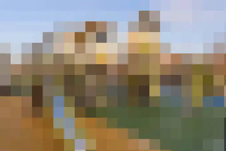 de Grutto 7 Moerkapelle thumbnail 26