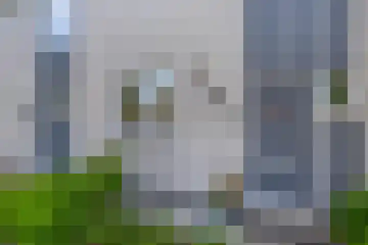 de Grutto 7 Moerkapelle thumbnail 4