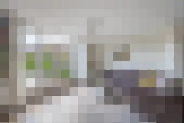 de Grutto 7 Moerkapelle thumbnail 6