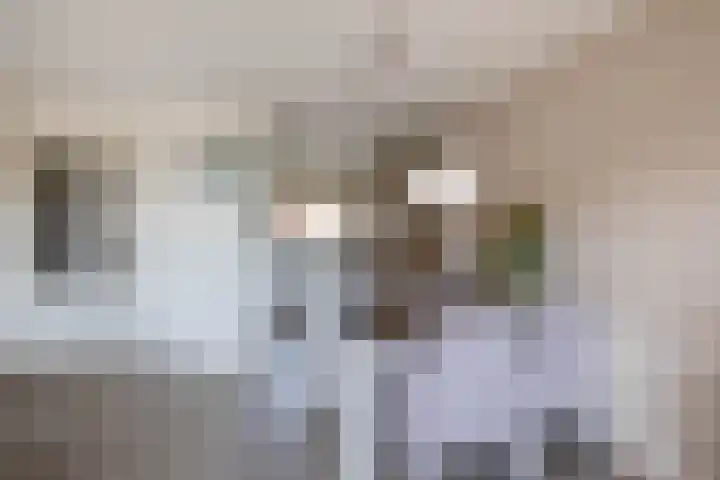 de Grutto 7 Moerkapelle thumbnail 9
