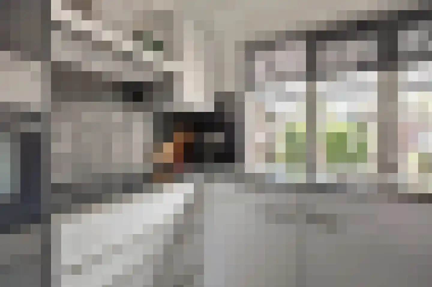 De Grutto 77 Almelo thumbnail 15
