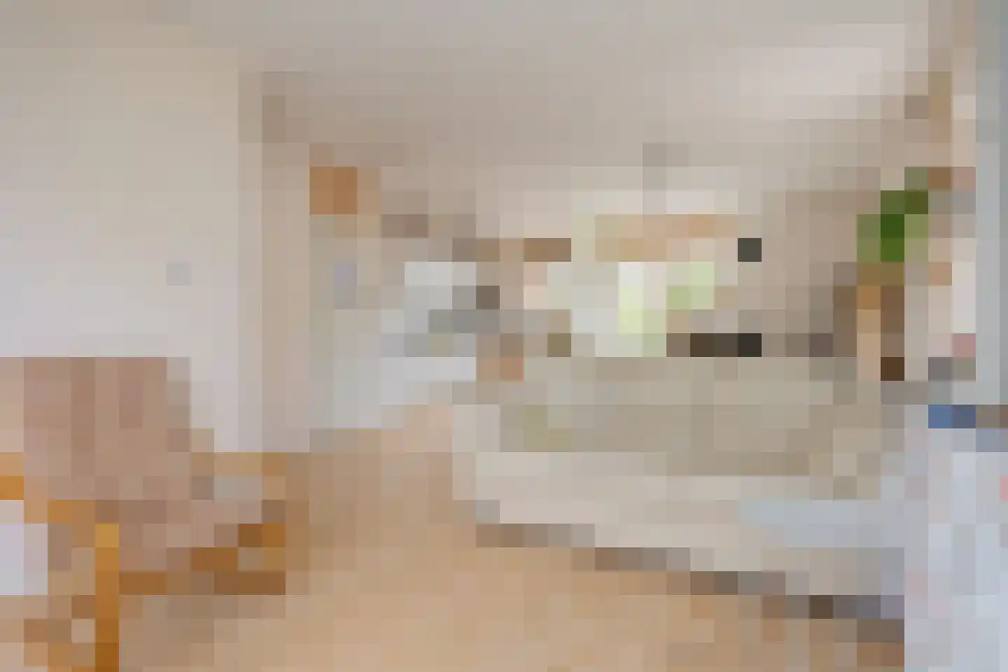 De Grutto 87 Almelo thumbnail 7