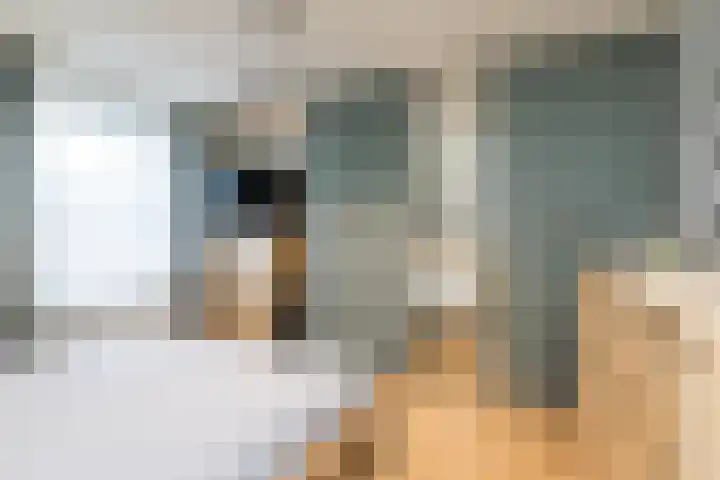De Gyselaar 41 Amstenrade thumbnail 24