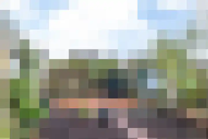 De Gyselaar 41 Amstenrade thumbnail 35