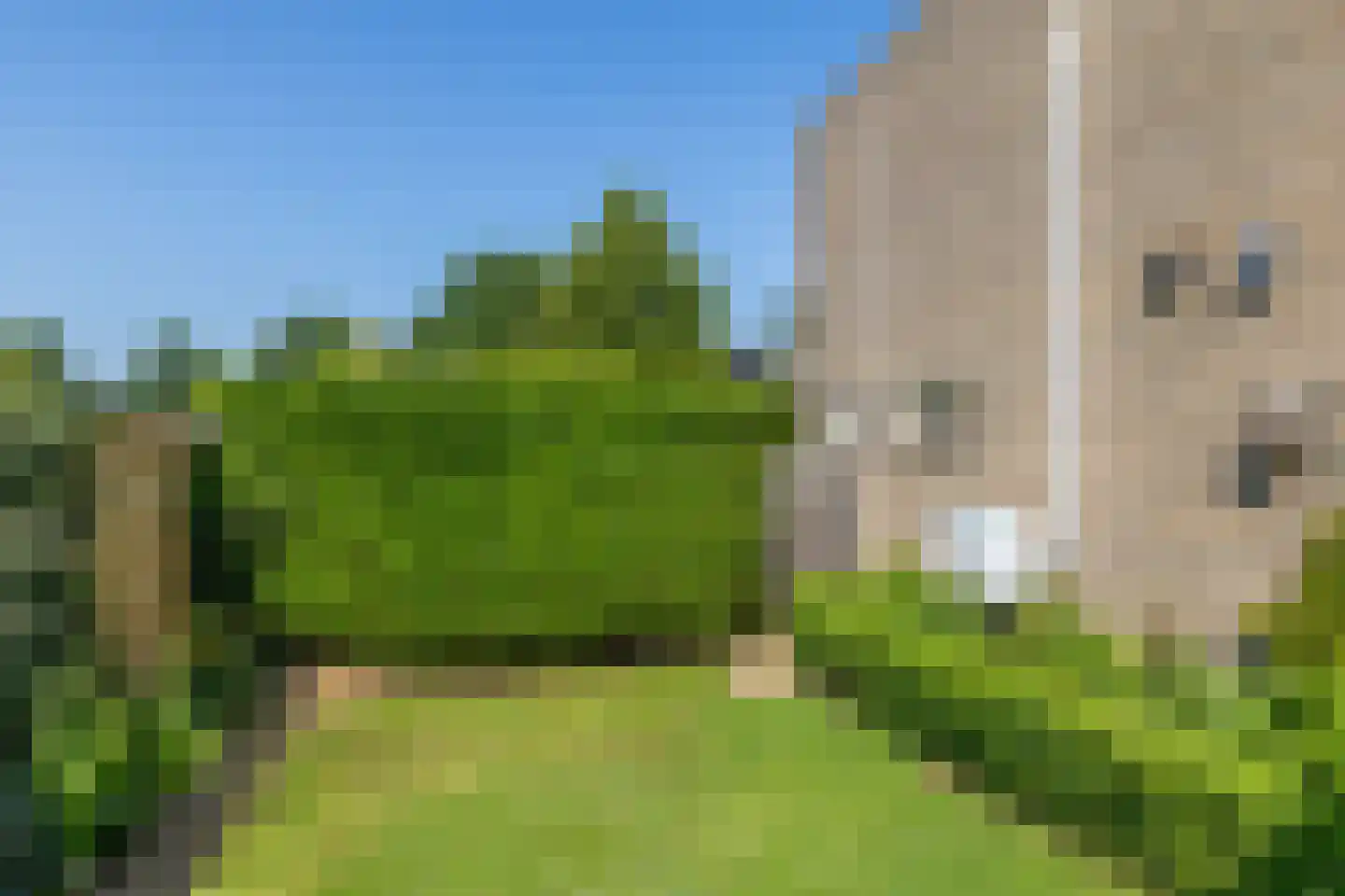 De Gyselaar 59 Amstenrade thumbnail 24