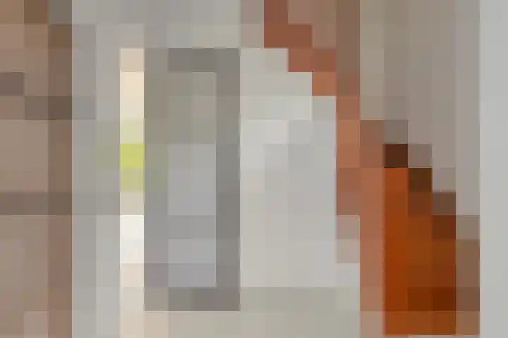 De Gyselaar 71 Amstenrade thumbnail 7