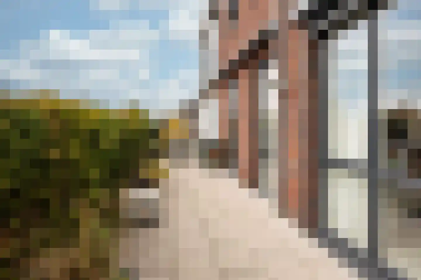 De Haag 1 Houten thumbnail 23