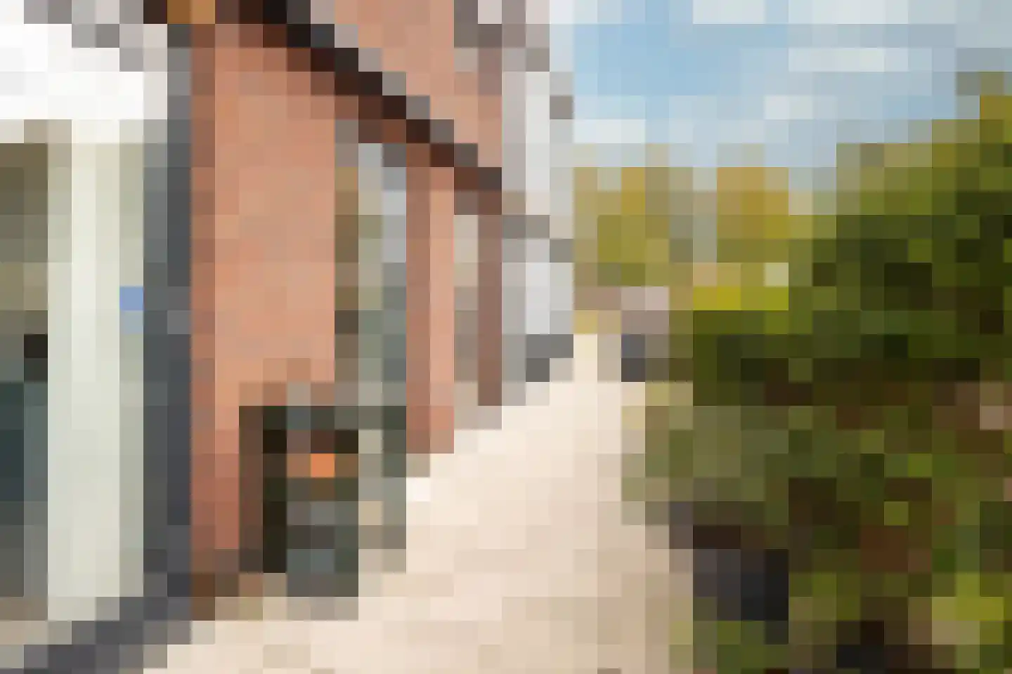 De Haag 1 Houten thumbnail 24