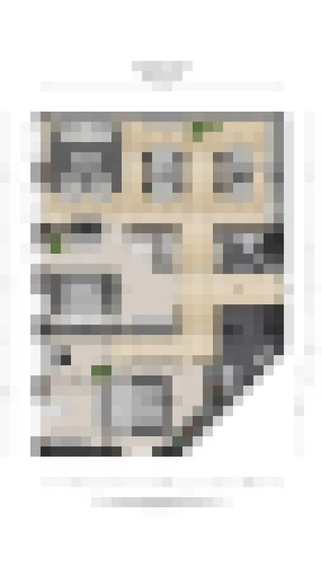 De Haag 1 Houten thumbnail 31