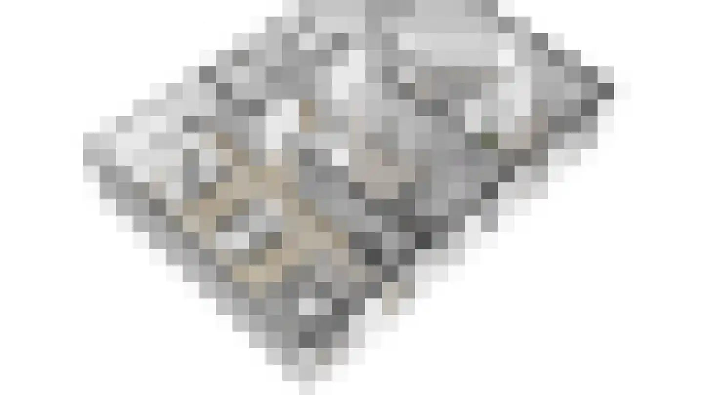 De Haag 1 Houten thumbnail 32