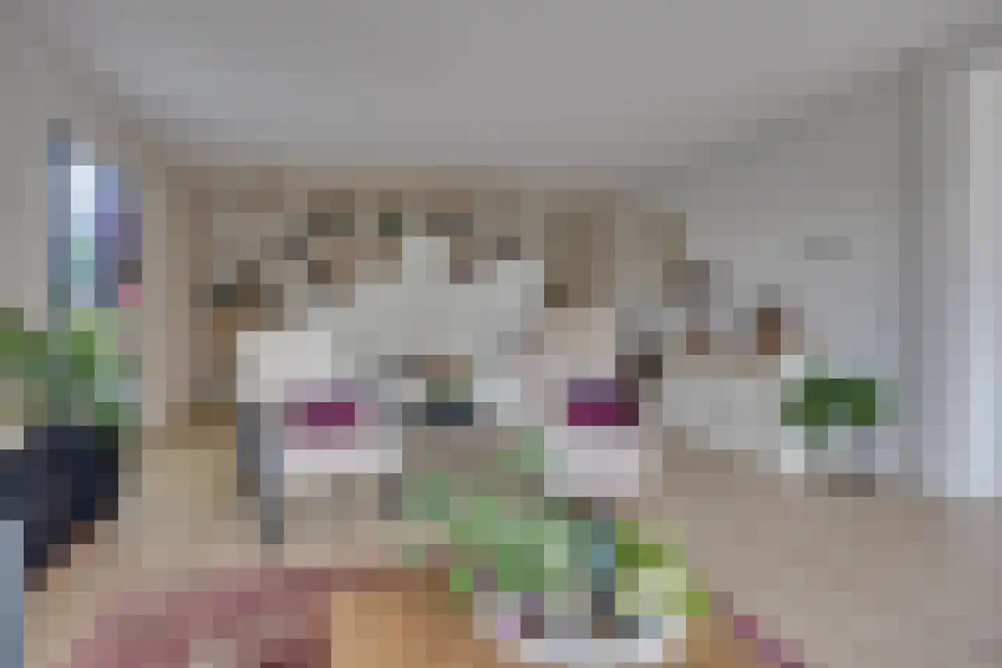 De Haag 1 Houten thumbnail 7