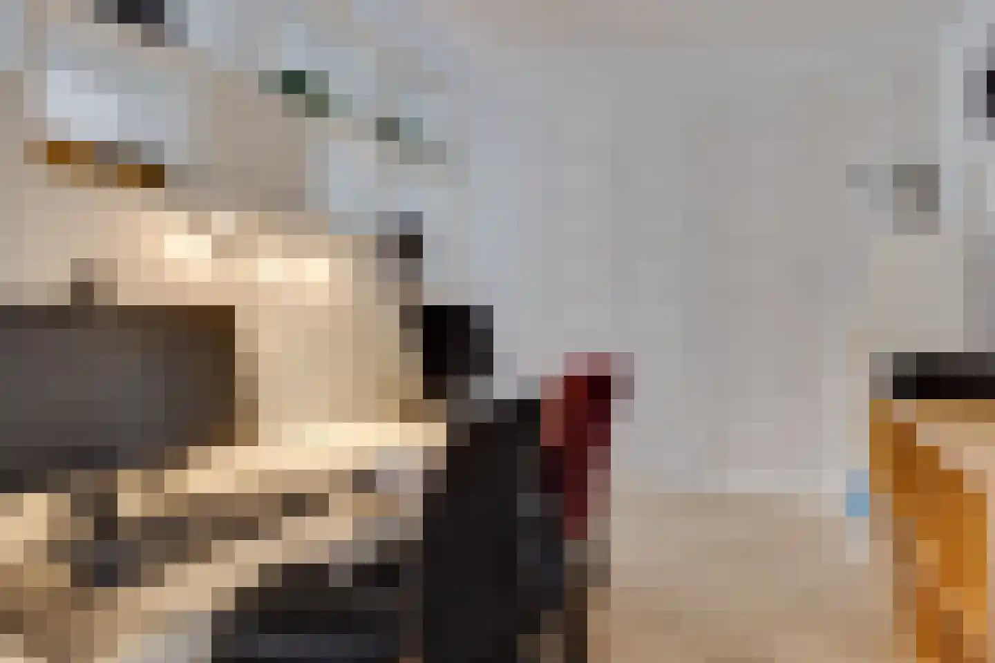 De Haag 1 Houten thumbnail 8