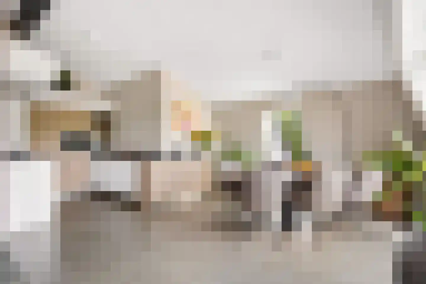 De Haag 23 Houten thumbnail 11