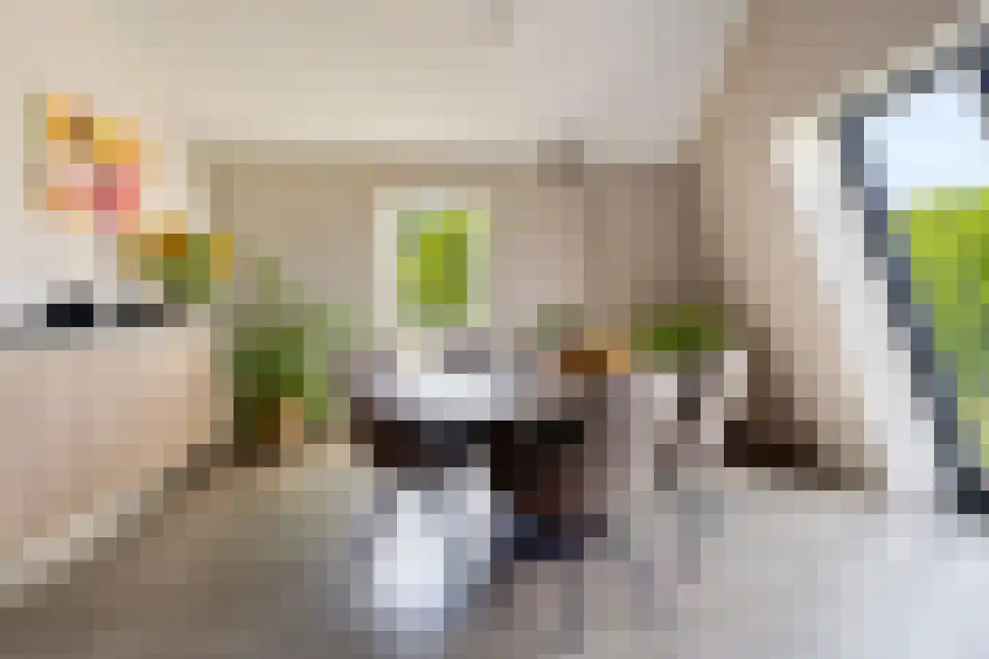 De Haag 23 Houten thumbnail 12