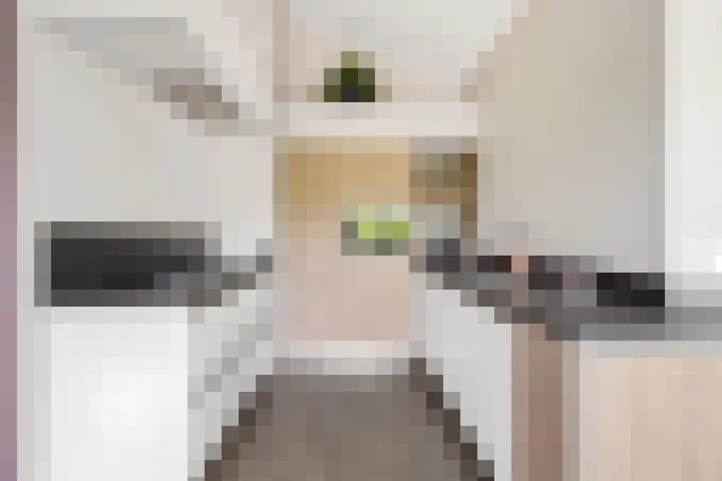 De Haag 23 Houten thumbnail 13
