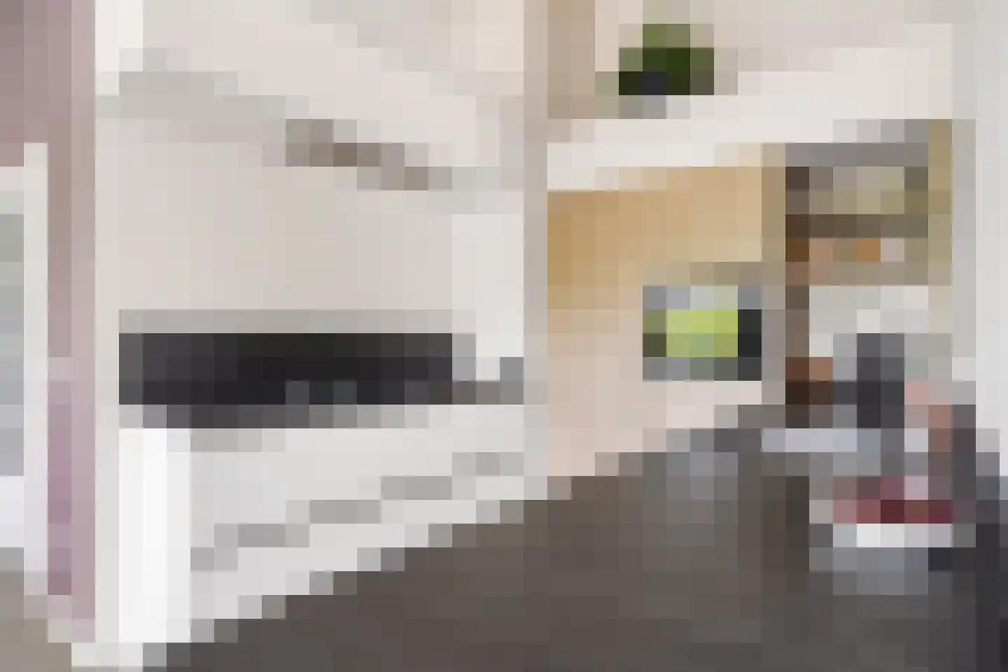 De Haag 23 Houten thumbnail 14