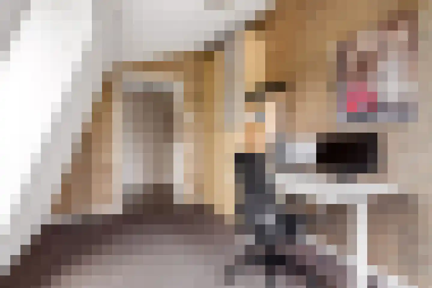 De Haag 23 Houten thumbnail 16
