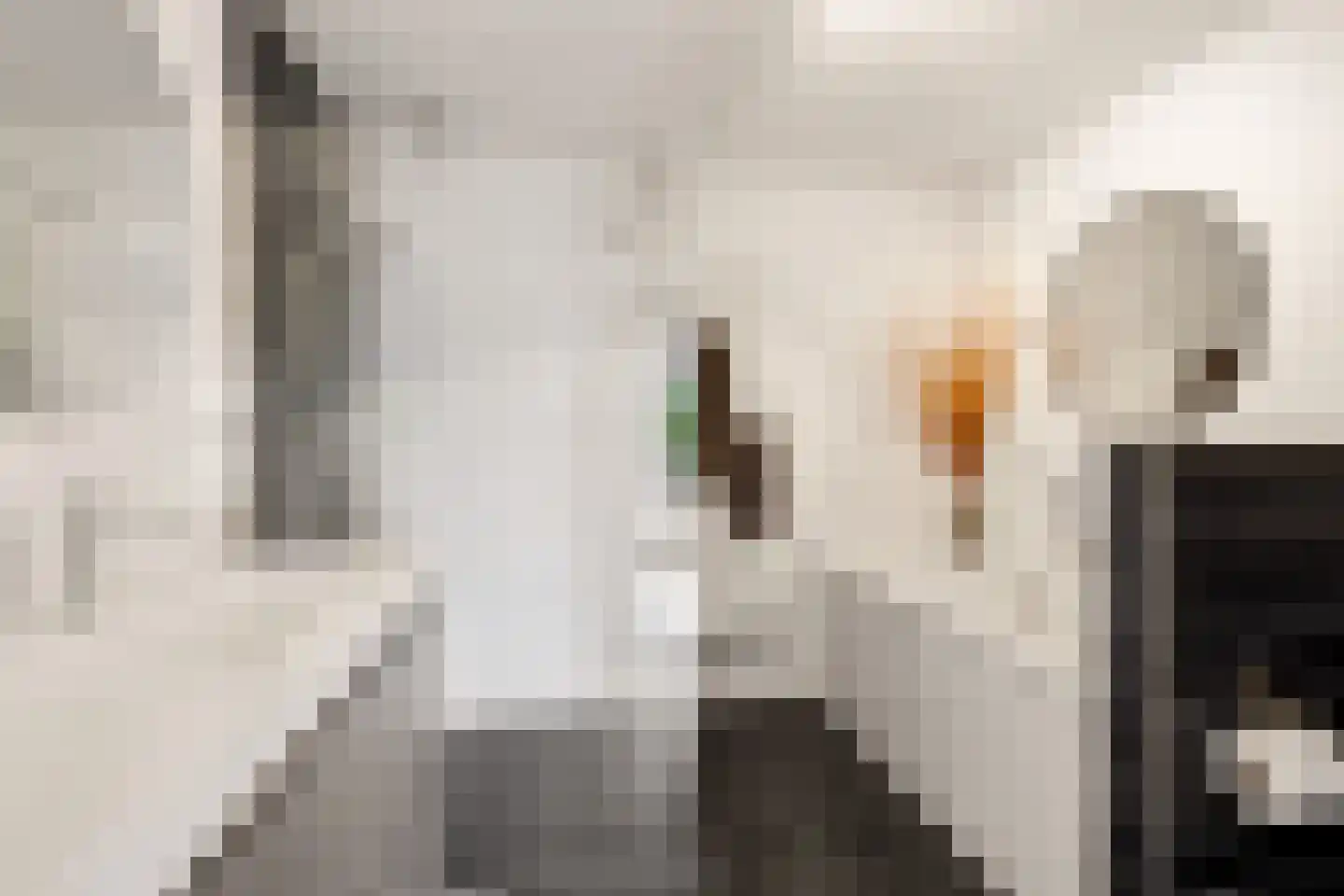 De Haag 23 Houten thumbnail 20