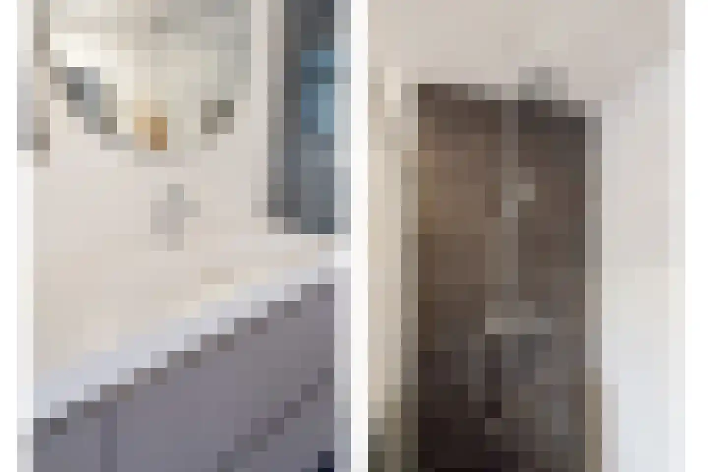 De Haag 23 Houten thumbnail 22