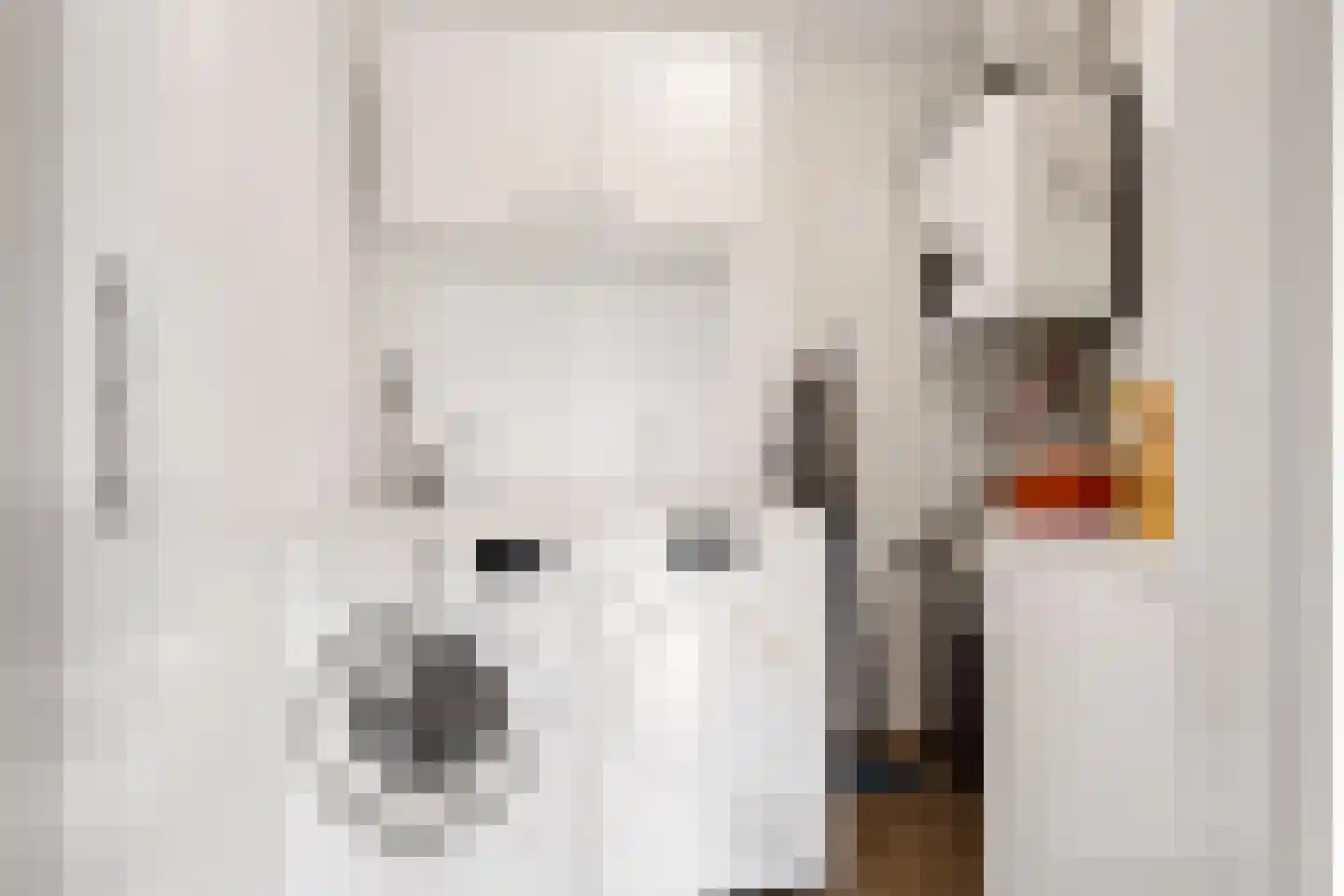 De Haag 23 Houten thumbnail 23