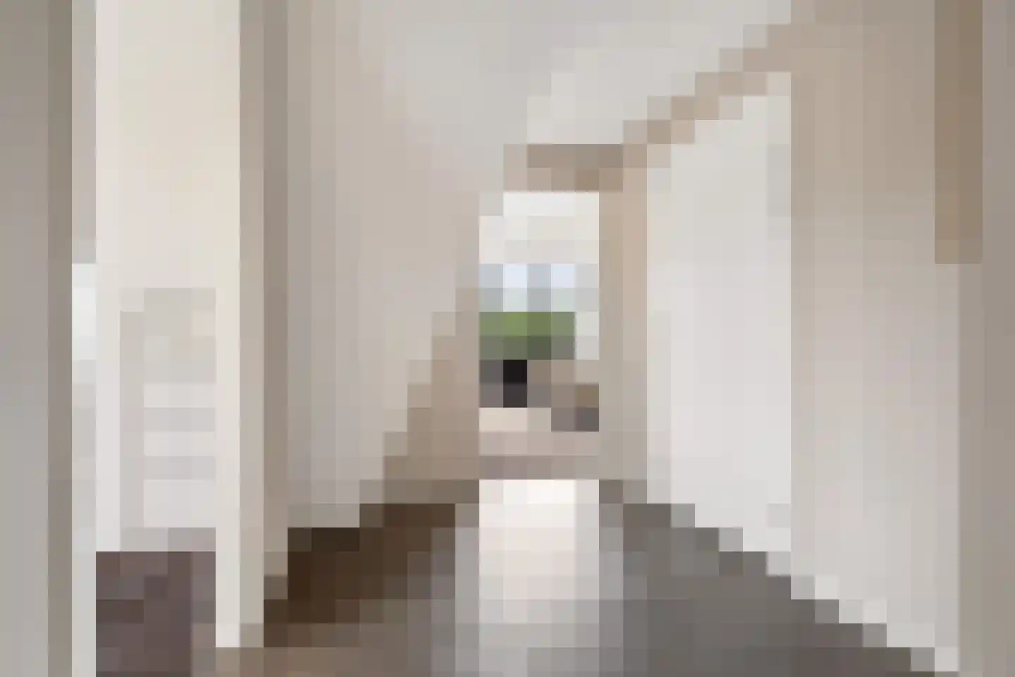 De Haag 23 Houten thumbnail 4