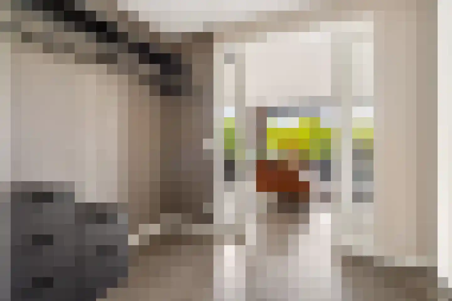 De Haag 23 Houten thumbnail 6
