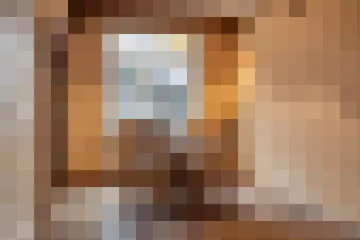 De Haag 67 Gemert thumbnail 11