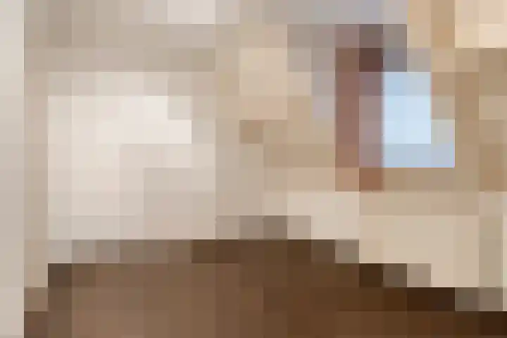 De Haag 67 Gemert thumbnail 16