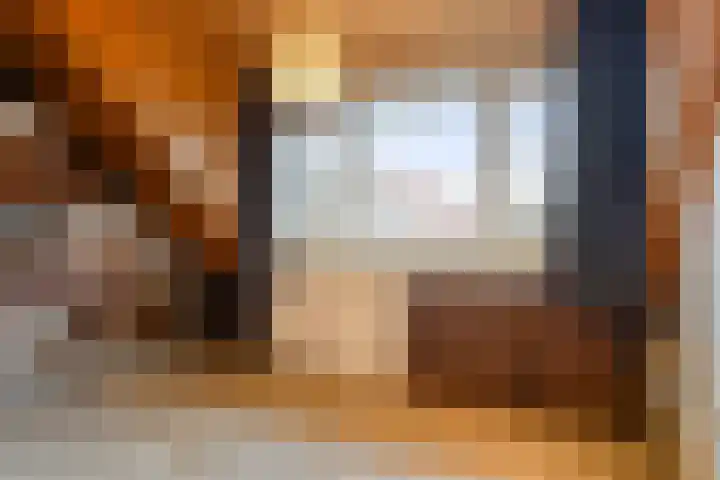 De Haag 67 Gemert thumbnail 17