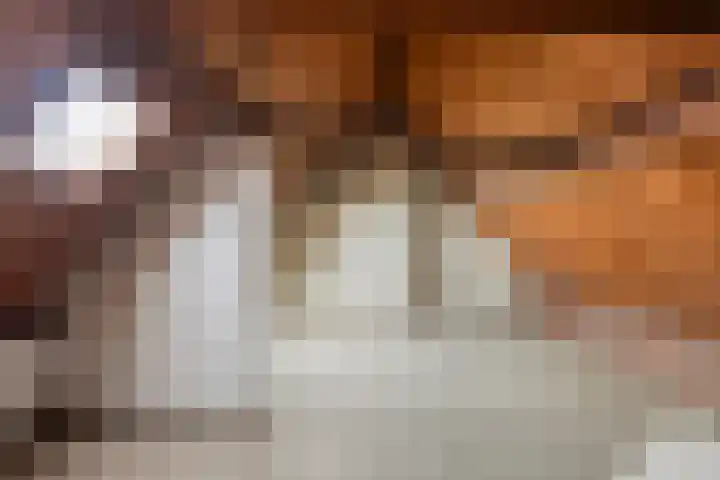 De Haag 67 Gemert thumbnail 21