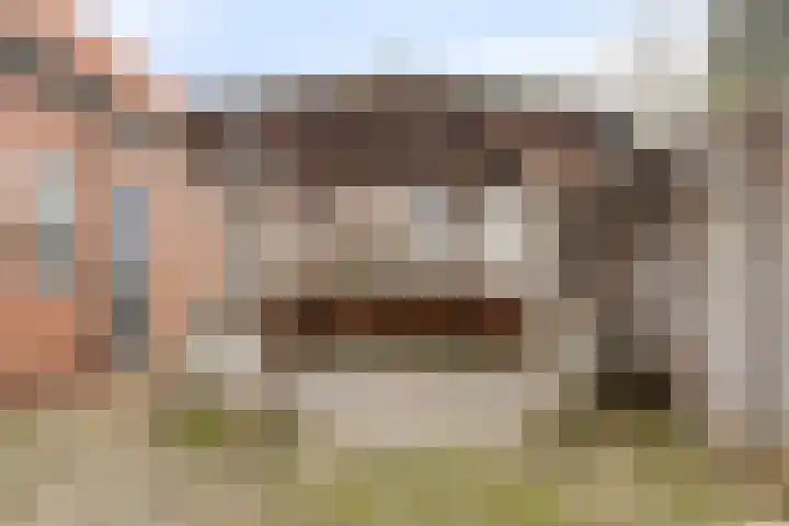 De Haag 67 Gemert thumbnail 22