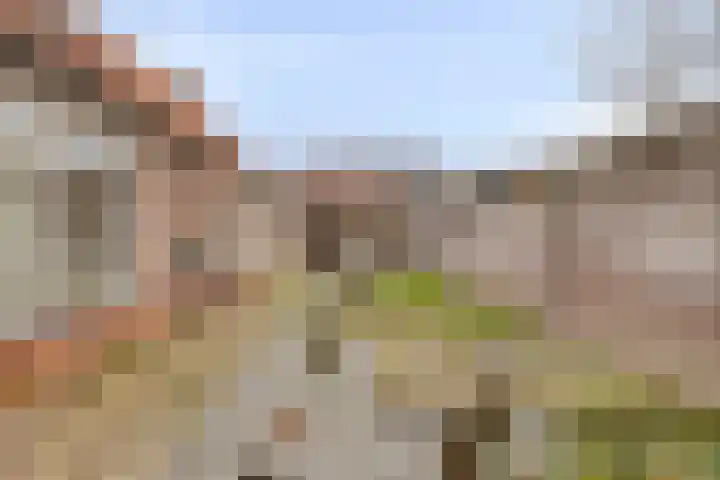 De Haag 67 Gemert thumbnail 23