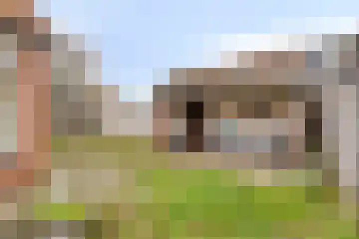 De Haag 67 Gemert thumbnail 24