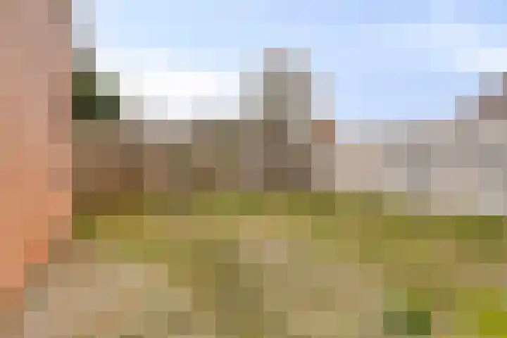 De Haag 67 Gemert thumbnail 25