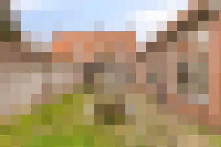De Haag 67 Gemert thumbnail 26