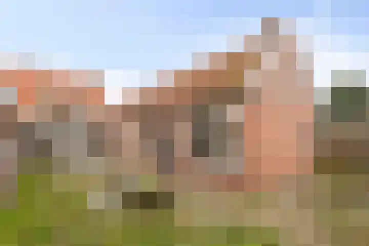 De Haag 67 Gemert thumbnail 27
