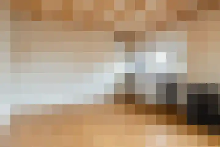 De Haag 67 Gemert thumbnail 28