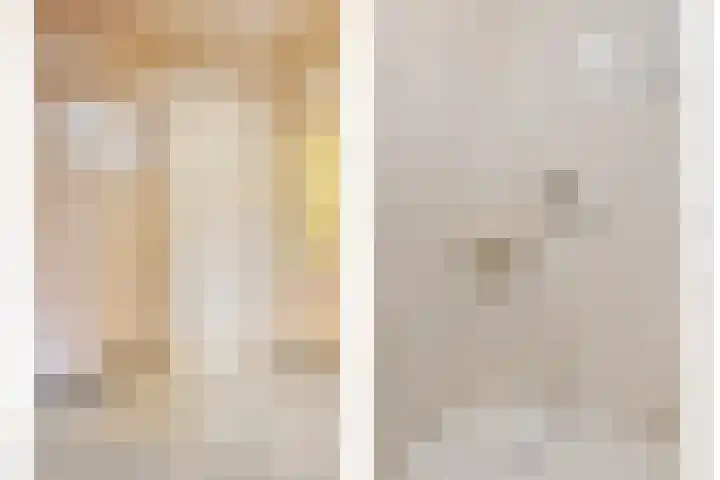 De Haag 67 Gemert thumbnail 33