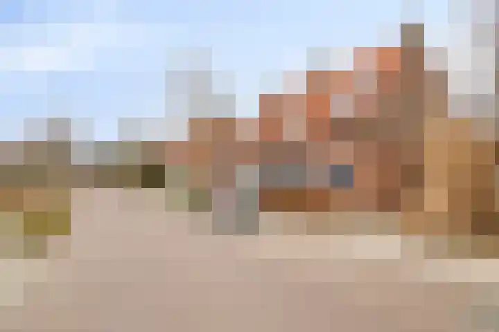 De Haag 67 Gemert thumbnail 6