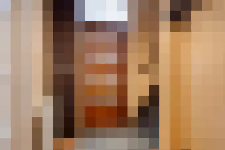 De Haag 67 Gemert thumbnail 8