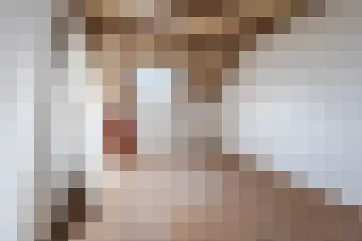 De Haag 89 Gemert thumbnail 19