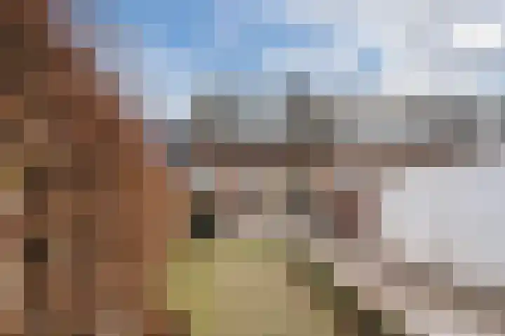 De Haag 89 Gemert thumbnail 27