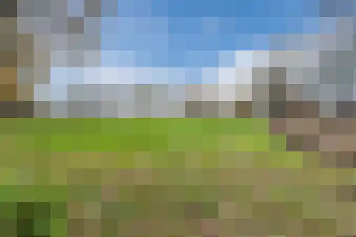 De Haag 89 Gemert thumbnail 32