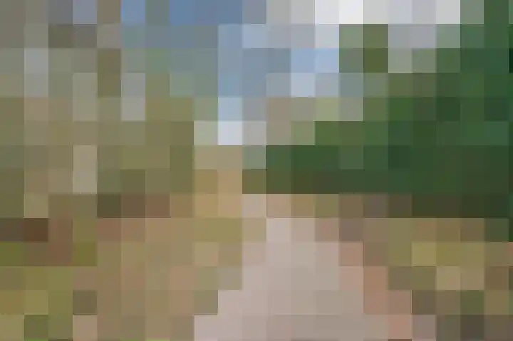 De Haag 89 Gemert thumbnail 33